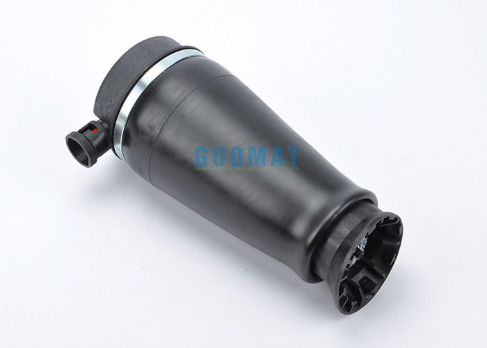 फोर्ड एक्सपेडिशन 3U2Z-5580-KA रियर एयर सस्पेंशन स्प्रिंग 1997-2002 लिंकन नेविगेटर