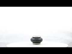 एकल घुमावदार एफएस 40-6 औद्योगिक वायु वसंत को प्रतिस्थापित करें